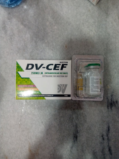 DV-CEF 250MG I.M